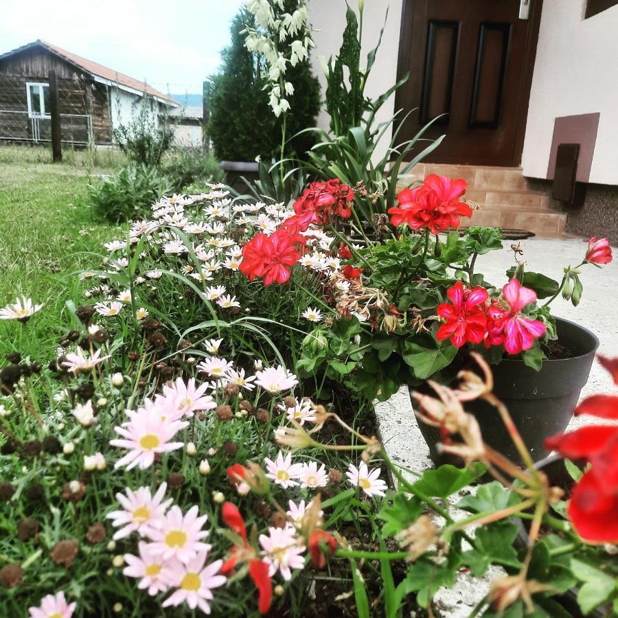 Drinski Oganj Kuca Za Odmor Баина-Башта Экстерьер фото